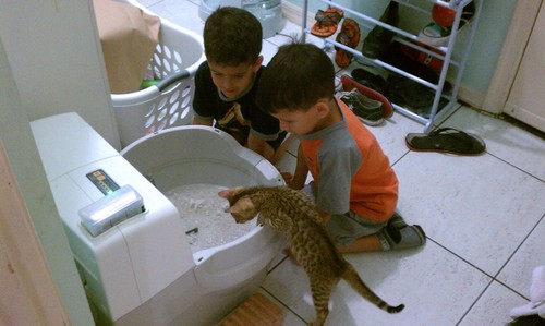 CatGenie 120 Self-Washing Self-Flushing Cat Box