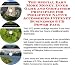 The Special Earn More Money, Inner Game and Godfather Principles for Philippine Native Accessories Internet Businesses 3 CD Power Pack