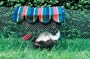 Kitty walk Kabana - 24" (Green/Blue/Red) (24"L)