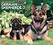 For the Love of German Shepherds 2011 Deluxe Wall Calendar