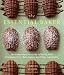 The Essential Baker: The Comprehensive Guide to Baking with Chocolate, Fruit, Nuts, Spices, and Other Ingredients