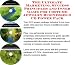The Ultimate Marketing, Success Principles and Inner Game for Costume Jewelry Businesses 3 CD Power Pack