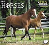 2012 Horses Wall Calendar
