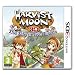 Harvest Moon: The Tale Of Two Towns (Nintendo 3DS)