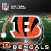 2011 Cincinnati Bengals - Box Calendar
