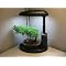 Bonsai