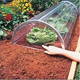 Review   / Longrow Super Cloche