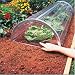Kitchen & Housewares : Longrow Super Cloche