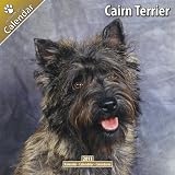 Cairn Terrier 2011 Wall Calendar #10025-11