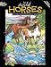 Wild Horses Stained Glass Coloring Book (Dover Nature Stained Glass Coloring Book) by Marty Noble