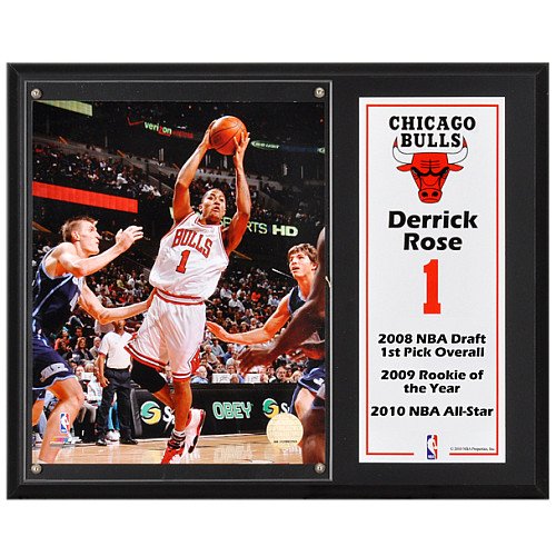Mounted Memories Chicago Bulls Derrick Rose 12X15 Plaque With 8X10 Photograph And Plate