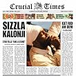 Image of Crucial Times