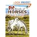 Big Book of Horses to Color (Dover Nature Coloring Book)