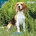 beagle12 - Beagle 2010 Wall Calendar 12 X 12