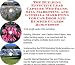 Book The Guerilla Marketing, Building Effective Lead Capture Web Pages, SIVA Marketing for Car Door And Bumper Guards Businesses