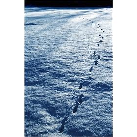 photographie Footprints in snow. est disperible en (L x H): 40 x 60 cm de C. Cook