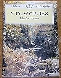 Y tylwyth teg