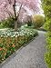 Tulip and Daffodil Garden at Tulip Festival, Skagit Valley, Washington Photographic Poster Print by Jamie & Judy Wild, 36x48