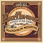 Ernie Ball 2065 Earthwood Mandolin Medium 80/20 Bronze Loop End gauges 10,14,24w,36 (2 each)