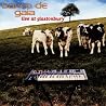 Image of album by Banco De Gaia