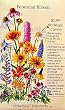 Perennial Bloom Flower Mix 19 Varieties Lupine Candytuft Daisy Columbine Carnation and More 13 Grams