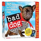 Bad Dog 2012 Page-a-Day Calendar