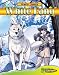 White Fang (Graphic Classics)