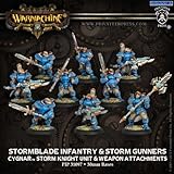 Privateer Press Warmachine: Cygnar Stormblade Unit Box Model Kit