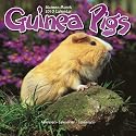 Guinea Pigs 2010 Wall Calendar