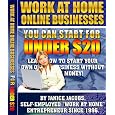 Work At Home Online Businesses You Can Start For Under $20 by Janice