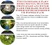 The Quick and Easy Generate Extra Cash, Marketing and Inner Game for Baby Slings Web Biz 3 Course + Resource Guide