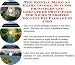 The Secret How To Earn Extra Money, Marketing and 