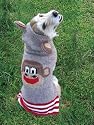Chilly Dog Hoodie Sweaters 100 % Wool XXLarge Monkey