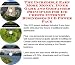 The Incredible Earn More Money, Inner Game and Godfather Principles for Ice Chests Internet Businesses 3 CD Power Pack