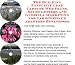 Book The Guerilla Marketing, Building Effective Lead Capture Web Pages, Sales Letters for Car Stereo Cd Adaptors Businesses