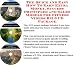 The Quick and Easy How To Earn Extra Money, Success Principles and Sales Models for Fitness Videos Biz 3 CD Package
