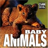 Baby Animals (Mini Cube Book)