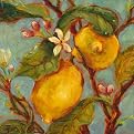 Etienne Lemons on a Branch Canvas Giclee - 16x16"