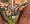 Sid Meier's Railroads!