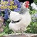 Just Us Chickens 2017 Wall Calendar