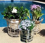 Set of 3 Plant Baskets Iron Antique Creme Finish