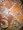 Womens Burnt Umber, Rich Gold Cutwork Pashmina Jamavar Shawl Wrap Throw Image #5
