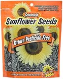 Eco-Farms Seasoned Sunflower Seeds, Grown Pesticide Free, 5.5-Ounce Pouches (Pack of 18)