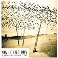 Night for Day