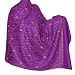 Embroidered Shawl Wool Accessory from Kashmir 80 x 40 inches (ebs305)