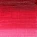 Winsor & Newton Winton Oil Color, 37ml (1.25-oz) Tube, Permanent Rose