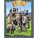 Ella The Baby Elephant (My Animal Family)