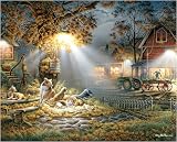 Our Friends 1000 Piece Jigsaw Puzzle by White Mountain