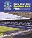 Everton Grow your own Goodison Park Pitch
