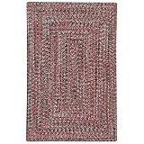 Capel Rugs Agua 4x6 Terra Cotta Area Rug